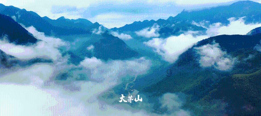文胸怎么穿